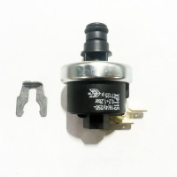Прессостат давления воды Ferroli Ninfa N FL Taura D 39818260