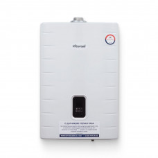 Котел газовый настенный World Alpha С-24Н 24 кВт одноконтурный A21E220292