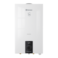 Водонагреватель проточный газовый Thermex T 20 D 11029