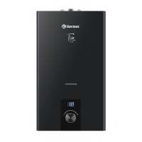 Газовая колонка Thermex Tion T 20 D Black 15958
